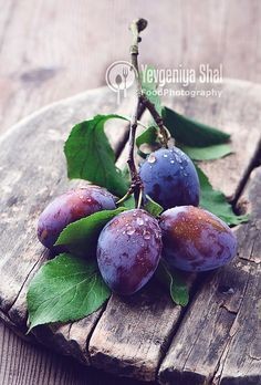 مدل رنگ روغن اورژینال
